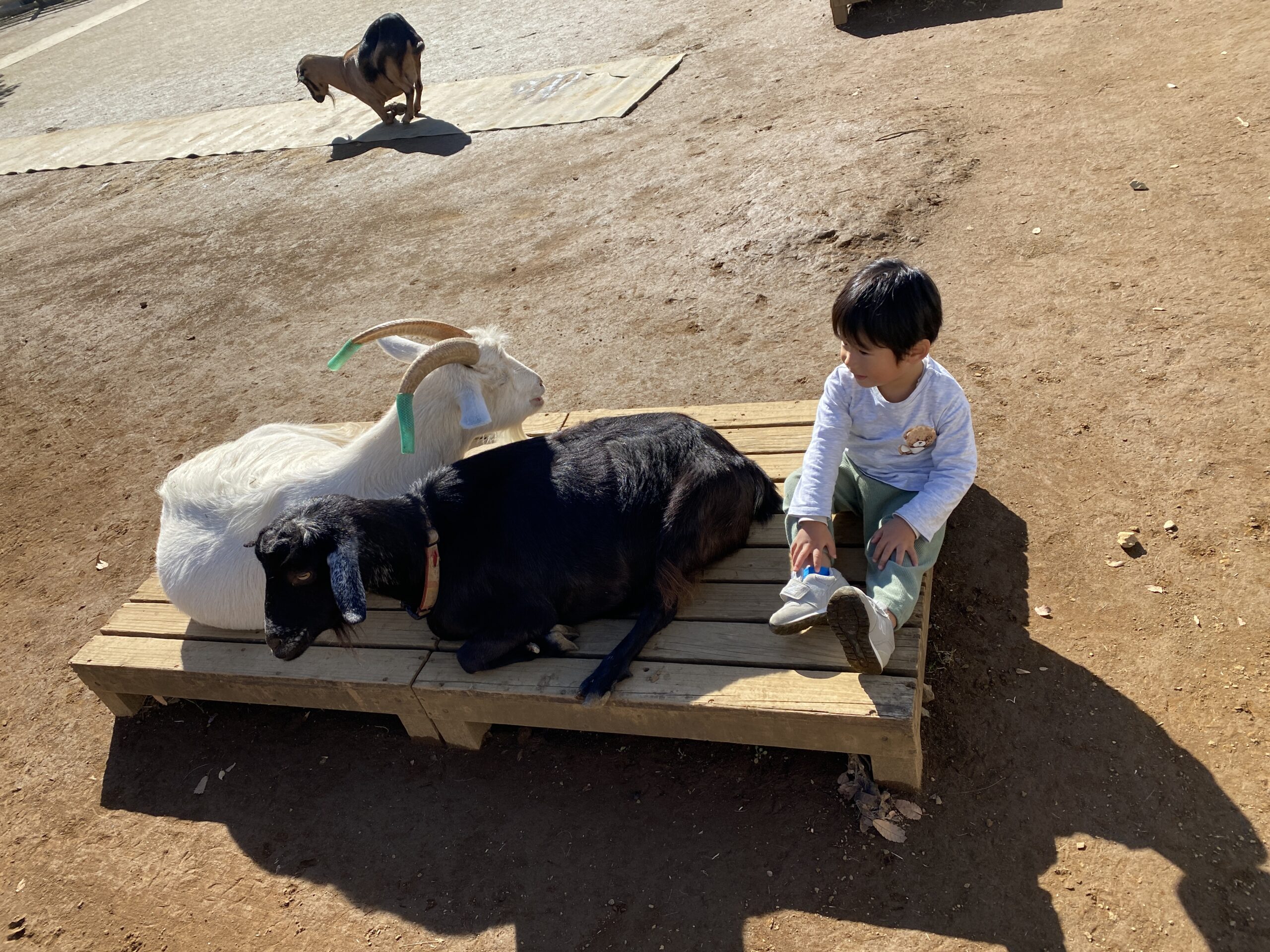 メインビジュアル画像