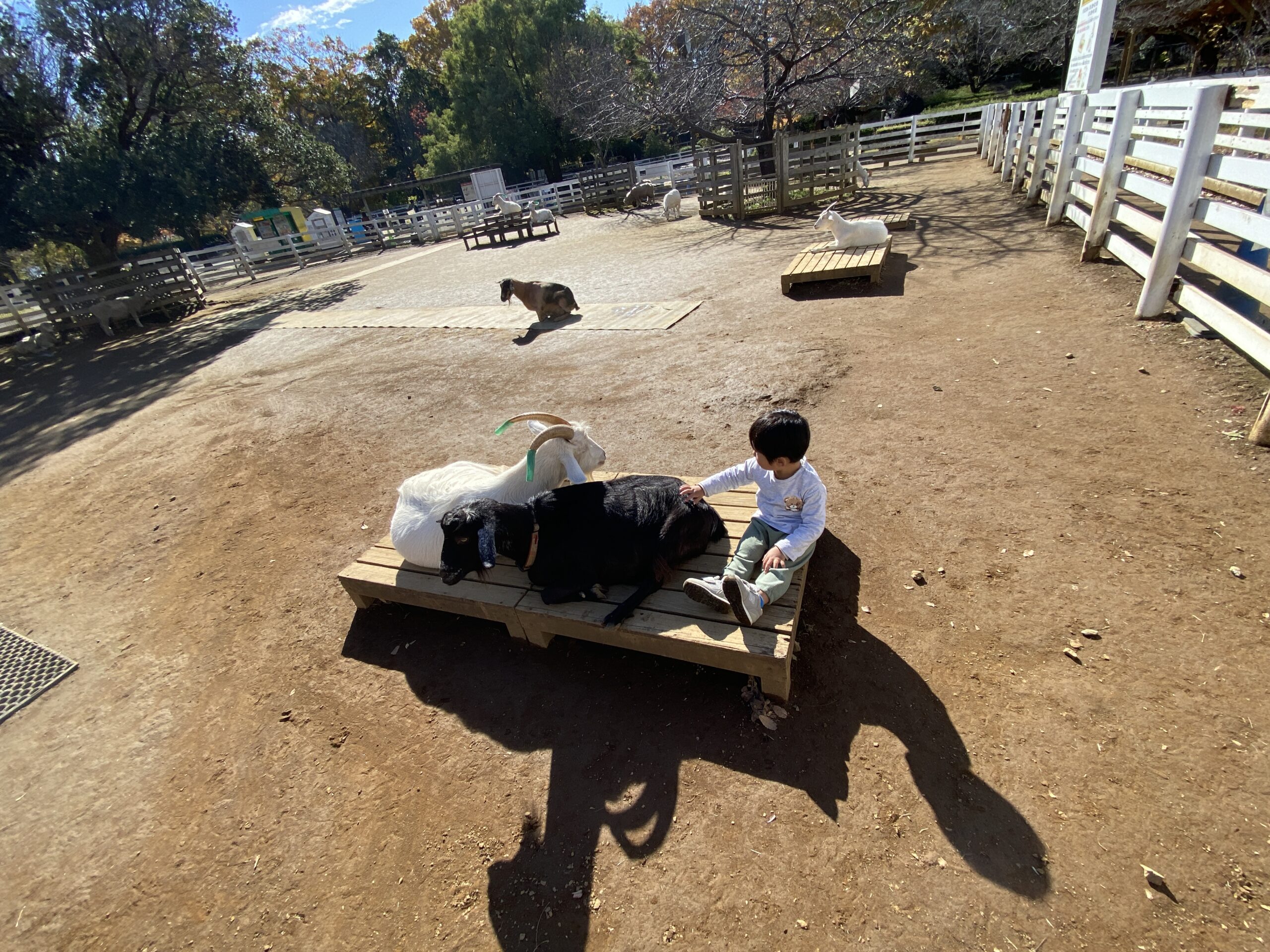 メインビジュアル画像